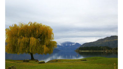 아름다운 뉴질랜드