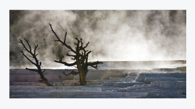 MAMMOTH HOT SPRINGS