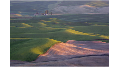 Palouse #1