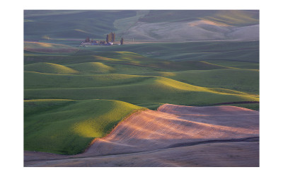 Palouse #1