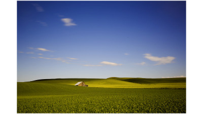 Palouse #2