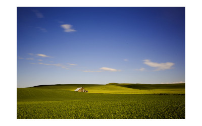 Palouse #2