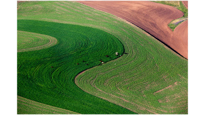 Palouse #3