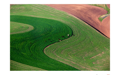 Palouse #3