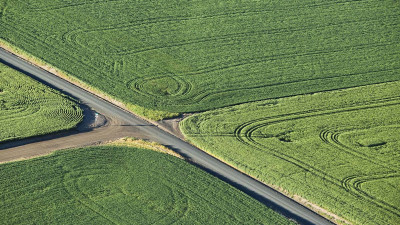 Road
