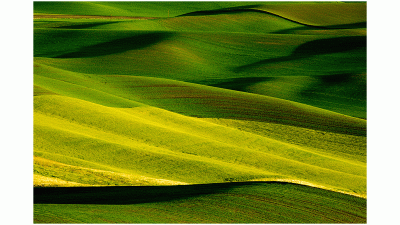 Palouse