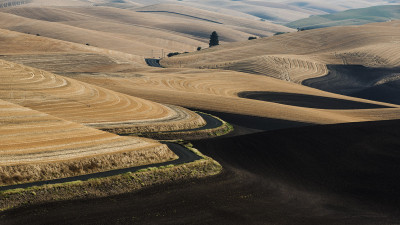 8월의 Palouse 2