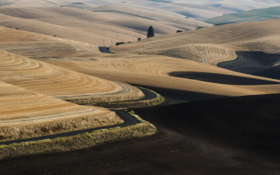 8월의 Palouse 2
