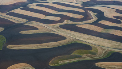 8월의 Palouse 3