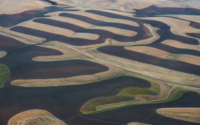 8월의 Palouse 3