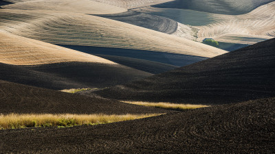 8월의 Palouse 5