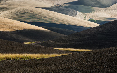 8월의 Palouse 5