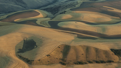 8월의 Palouse 5