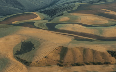8월의 Palouse 5