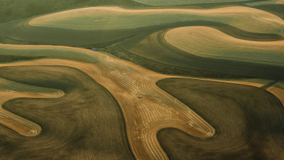 8월의 Palouse7