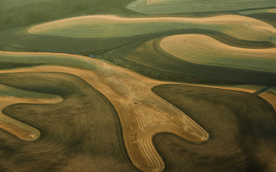 8월의 Palouse7