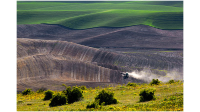 palouse