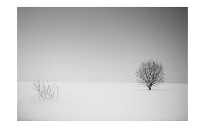 겨울 단상