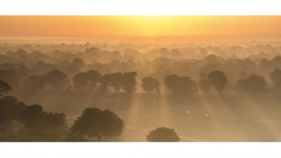 BEAUTIFUL MORNING