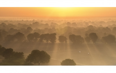 BEAUTIFUL MORNING