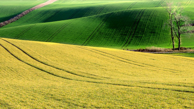 햇볕 쏟아지던 South Moravia