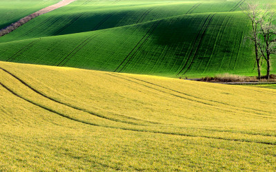 햇볕 쏟아지던 South Moravia