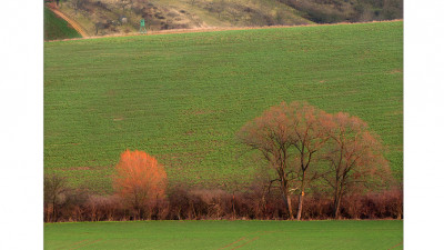 South  Moravia 1