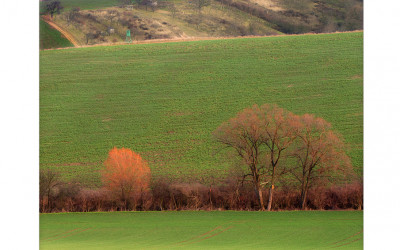 South  Moravia 1