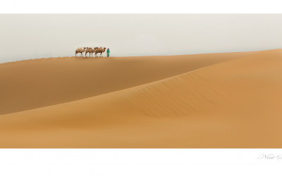 바단지린사막 5