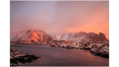 Reine