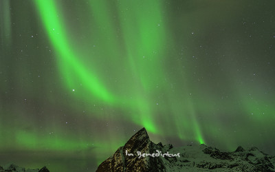 Norway #2