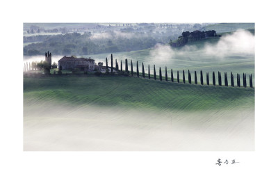 The spring of Tuscany II