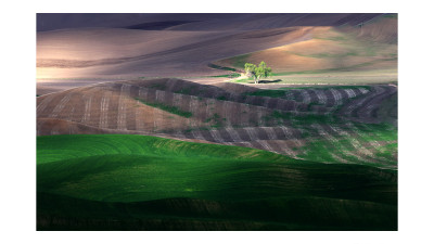 The spring of palouse