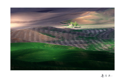 The spring of palouse