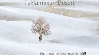 2026년4월 타클라마칸 봄 촬영출사